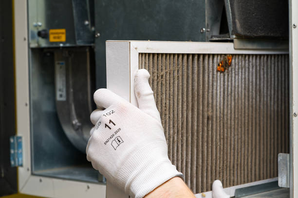 Best HVAC System Cleaning  in Clute, TX