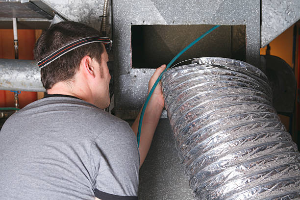 Best Air Duct Mold Removal  in Clute, TX